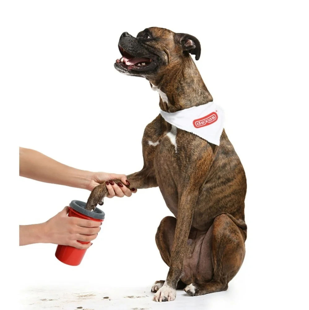 Paw cleaner M